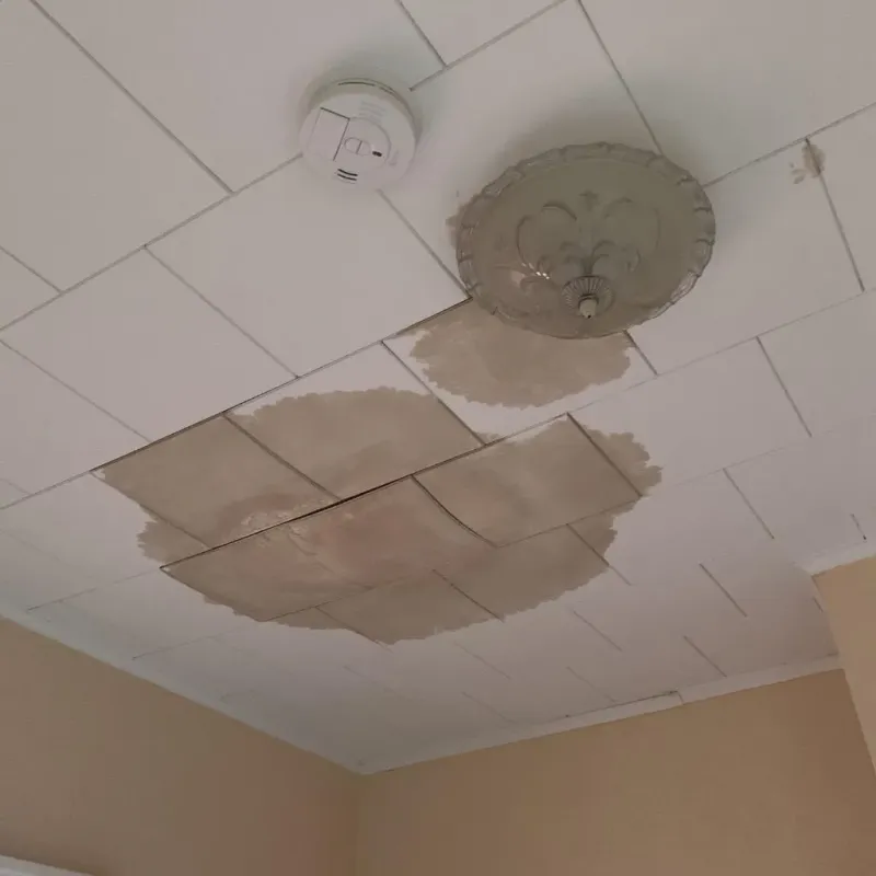 Ceiling Water Damage Repair in Burke, VA